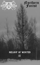 Northern Forest : Melody of Winter (Part II)